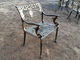 Ghisa francese di stile fuori della Tabella e del bronzo dell'oggetto d'antiquariato delle sedie per il parco