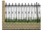 Pannelli antichi del recinto del ghisa/recinto pedonale della barriera di sicurezza per la casa della villa